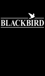 Blackbird