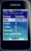 Free Mobile Personal Trainer - Food Java Mobile Phone Application