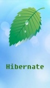 Hibernate - Real Battery Saver ZTE Vital N9810 Application