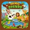 Animal Sound For Kids Learning Oppo Pad Air2 Application