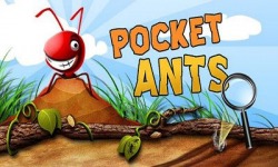 Pocket Ants