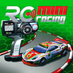 RC Mini Racing