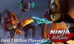 Ninja Action RPG Ninja Royale