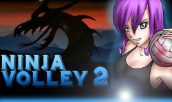 Ninja Volley 2