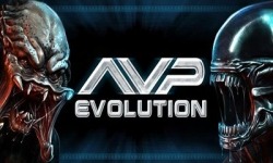 AVP: Evolution