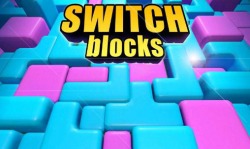 Switch Blocks