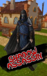 Shadow Assassin