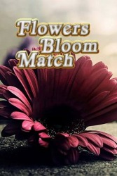 Flowers Bloom Match