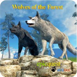 Wolves Of The Forest