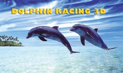 Dolphin Racing 3D