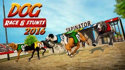 Dog Race And Stunts 2016