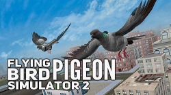 Flying Bird Pigeon Simulator 2