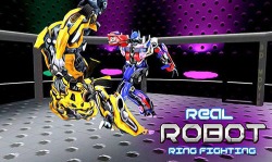 Real Robot Ring Fighting