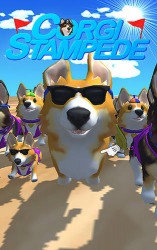 Corgi Stampede