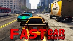 Fast Car Driving