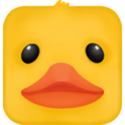 Zig Zag Duck