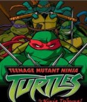 Ninja Turtules Java Mobile Phone Game