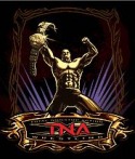 TNA Wrestling Java Mobile Phone Game