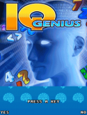 IQ Genuis Java Mobile Phone Game