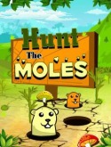 Hunt The Moles Java Mobile Phone Game