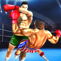 Fists For Fighting Android Mobile Phone Game