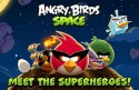 Angry Birds Space iOS Mobile Phone Game