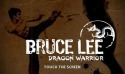 Bruce Lee Dragon Warrior Android Mobile Phone Game