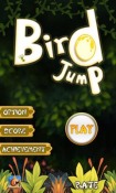 Bird Jump QMobile NOIR A8 Game