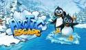 Arctic Escape HD Samsung Galaxy Prevail 2 Game