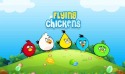 Flying Chickens Samsung Galaxy Pocket S5300 Game