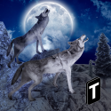 Angry Wolf Simulator 3D QMobile NOIR A10 Game