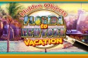 Hidden Objects: Florida To New York Vacation Android Mobile Phone Game