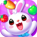 Fruit Bunny Mania QMobile NOIR A2 Classic Game