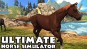 Ultimate Horse Simulator Android Mobile Phone Game