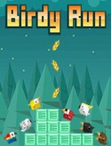 Birdy Run LG Cookie 3G T320 Game