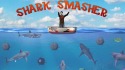 Shark Smasher QMobile NOIR A8 Game