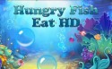 Hungry Fish Eat HD Android Mobile Phone Game