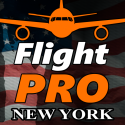 Pro Flight Simulator NY Android Mobile Phone Game