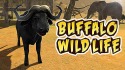 Buffalo Sim: Bull Wild Life Android Mobile Phone Game