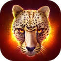 The Cheetah: Online Simulator QMobile NOIR A10 Game