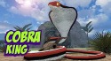 King Cobra Snake Simulator 3D Android Mobile Phone Game