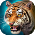 The Tiger: Online Simulator Android Mobile Phone Game