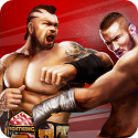 Champion Fight 3D LG Axis Game