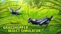 Grasshopper Insect Simulator Android Mobile Phone Game
