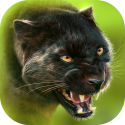 Panther Online QMobile NOIR A10 Game