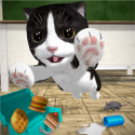 Cat Simulator And Friends! QMobile NOIR A10 Game