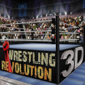 Wrestling Revolution 3D Micromax Funbook P300 Game