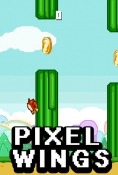 Pixel Wings BLU Amour Game