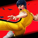 Kung Fu Attack 4 - Shadow Legends Fight Alcatel Pop S9 Game