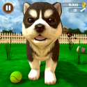 Virtual Puppy Simulator Android Mobile Phone Game